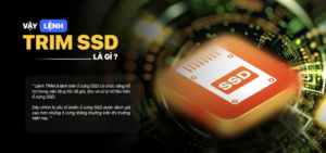 Lệnh TRIM Là Gì? Cách Kích Hoạt TRIM SSD Đúng Nhất 46 Lệnh TRIM Là Gì