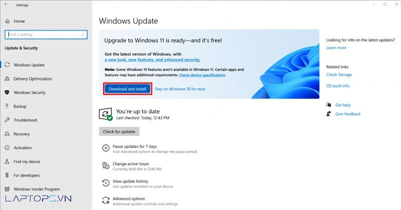 Cách update win 11