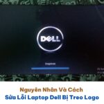 Nguyên Nhân Và Cách Sửa Lỗi Laptop Dell Bị Treo Logo