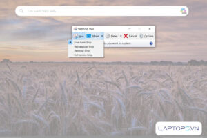 Chụp màn hình Dell