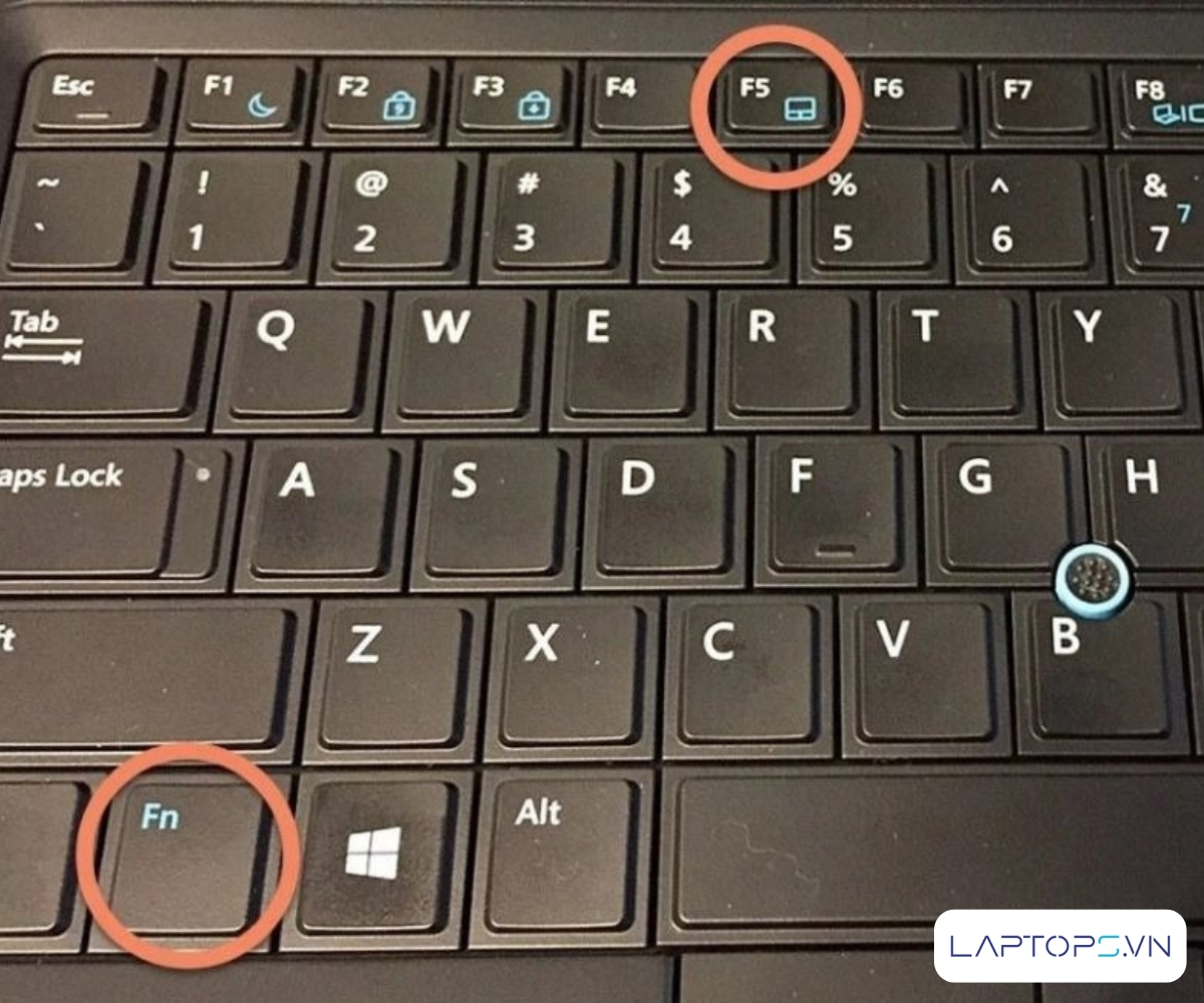 Touchpad là gì? Chức năng và cách bật tắt touchpad laptop 18 Nhấn giữ tổ hợp phím Fn và 1 phím chức năng khác để bật touchpad