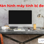 man hinh may tinh bi den 1