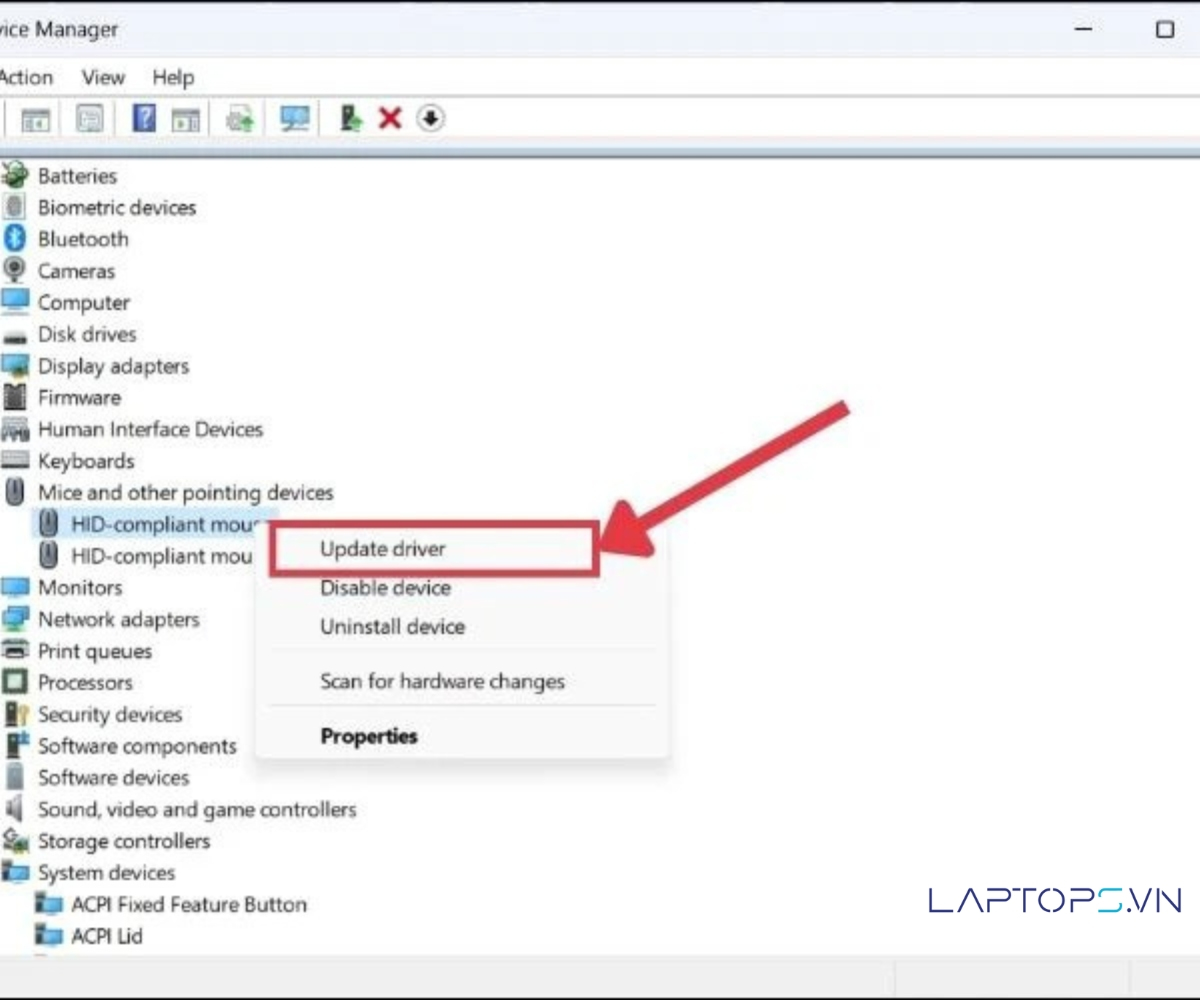 Chuột laptop không di chuyển được: Nguyên nhân và cách khắc phục 38 Chọn Update driver